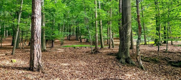 4غرفة منزل في Bad Gleichenberg, Austria رقم 44046 23