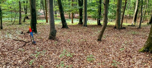 4غرفة منزل في Bad Gleichenberg, Austria رقم 44046 24