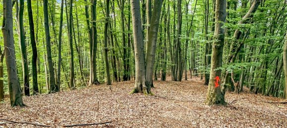 4غرفة منزل في Bad Gleichenberg, Austria رقم 44046 26