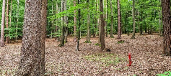 4غرفة منزل في Bad Gleichenberg, Austria رقم 44046 28