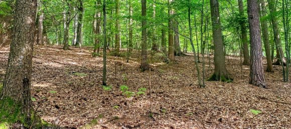 4غرفة منزل في Bad Gleichenberg, Austria رقم 44046 22