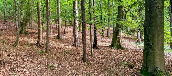 4غرفة منزل في Bad Gleichenberg, Austria رقم 44046 21