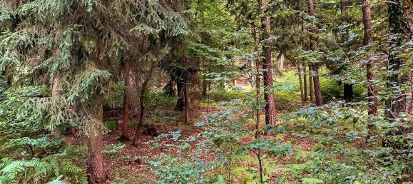 4غرفة منزل في Bad Gleichenberg, Austria رقم 44046 27