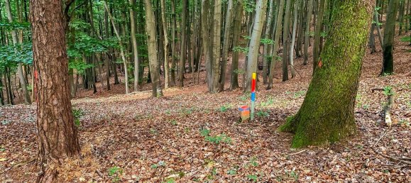 4غرفة منزل في Bad Gleichenberg, Austria رقم 44046 25