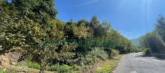 126143m² Land in Monteforte Irpino, Italy No. 228814 3