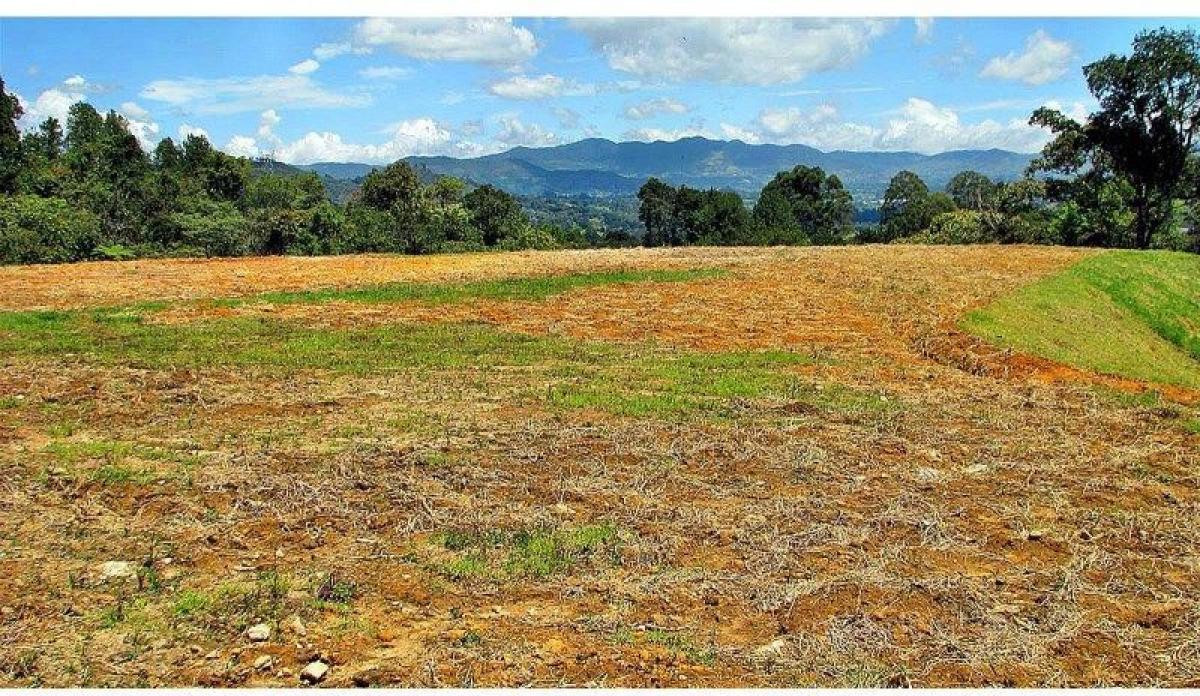 Terreno em Antioquia, Colombia N.º 339