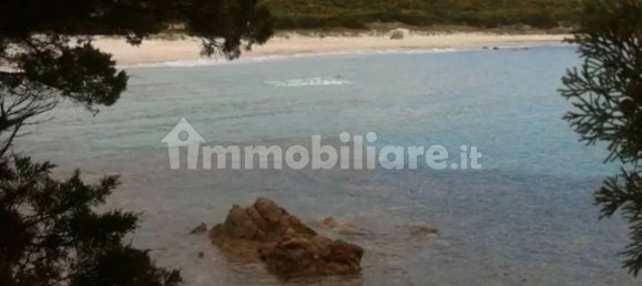 1 bedroom House in Olbia, Italy No. 149746 4