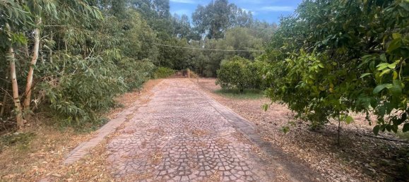 3 Schlafzimmer Haus in Sardinia, Italy, Nr. 363658 19