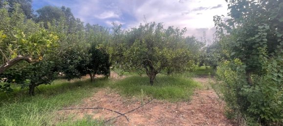 3 Schlafzimmer Haus in Sardinia, Italy, Nr. 363658 22