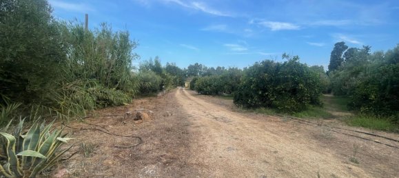 3 Schlafzimmer Haus in Sardinia, Italy, Nr. 363658 18