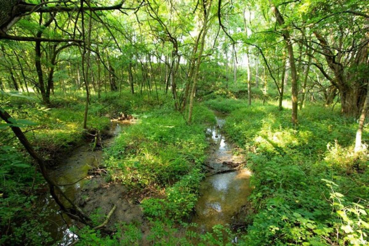 Grundstück in Dahinda, USA, Nr. 546613