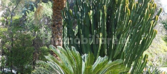 3 chambres Appartement à Reggio Calabria, Italy No. 220558 13