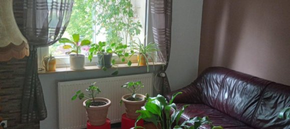 Бунгало с 2 спальнями в Юго-западный Пфальц, Германия № 275341 5