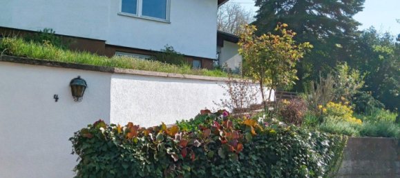 Бунгало с 2 спальнями в Юго-западный Пфальц, Германия № 275341 16