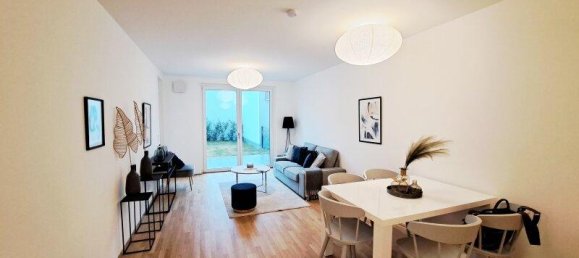 4 rooms Commercial property in Deutsch-Wagram, Austria No. 136764 3