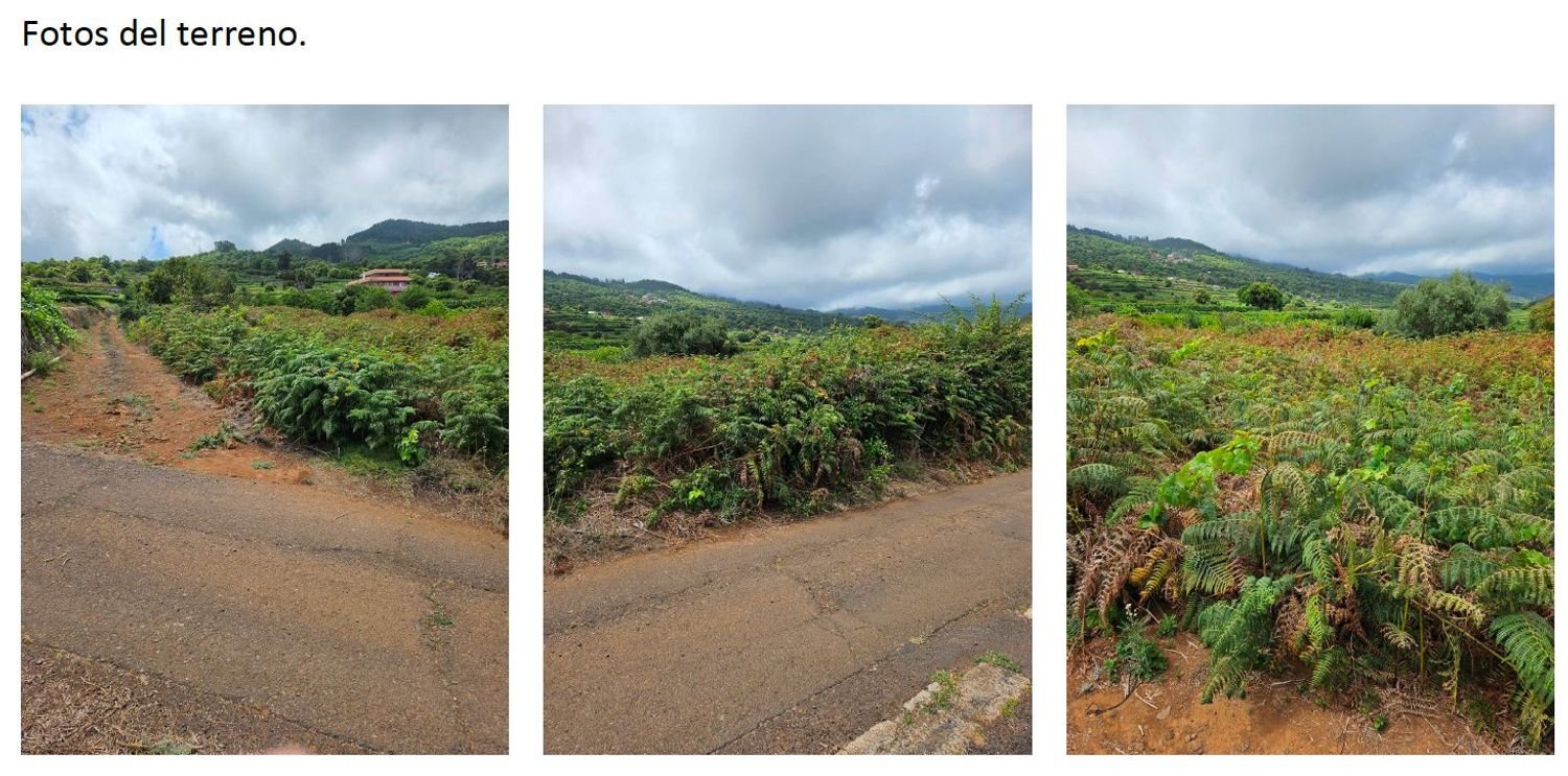  Land in La Orotava, Spain No. 163931