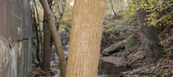 Casa de 7 habitaciónes en Ostalbkreis, Germany No. 36725 8