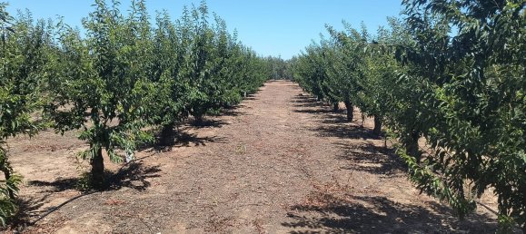 2 chambres Maison à Andalusia, Spain No. 160298 3