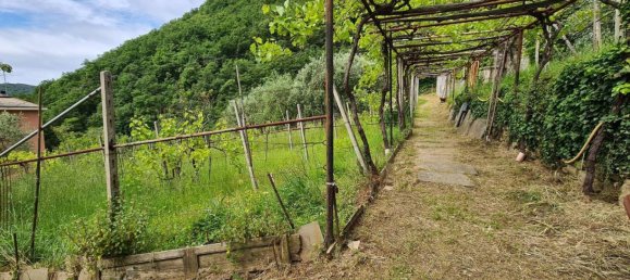 2 Schlafzimmer Wohnung in Genoa, Italy, Nr. 280984 4