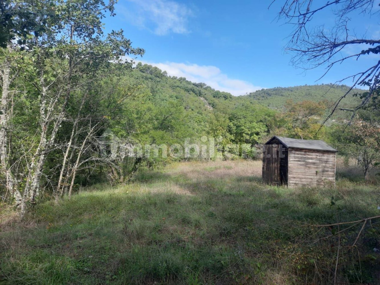 11890m² Land in Arrone, Italy No. 348919