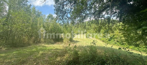 11890m² Land in Arrone, Italy No. 348919 4