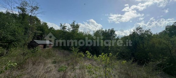 11890m² Land in Arrone, Italy No. 348919 7
