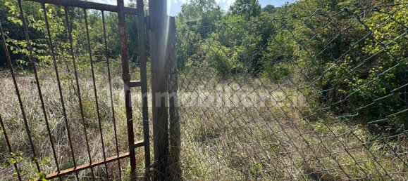 11890m² Land in Arrone, Italy No. 348919 6
