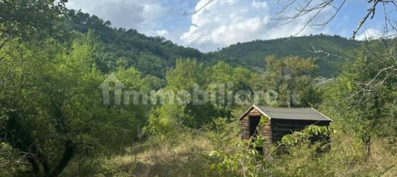 11890m² Land in Arrone, Italy No. 348919 9