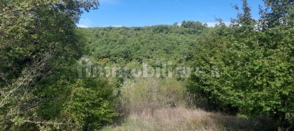 11890m² Land in Arrone, Italy No. 348919 5