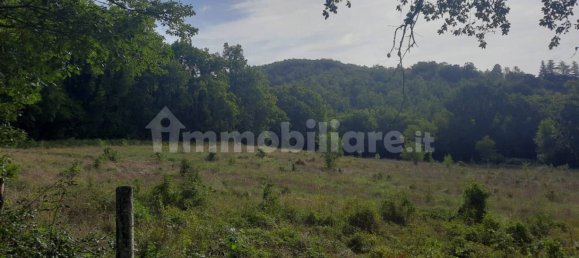 11890m² Land in Arrone, Italy No. 348919 2