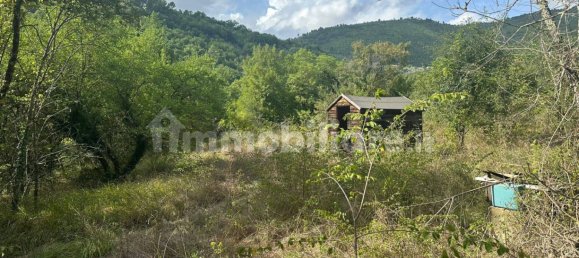 11890m² Land in Arrone, Italy No. 348919 3