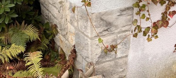 3 غرف نوم منزل في Bielefeld, Germany رقم 32858 21