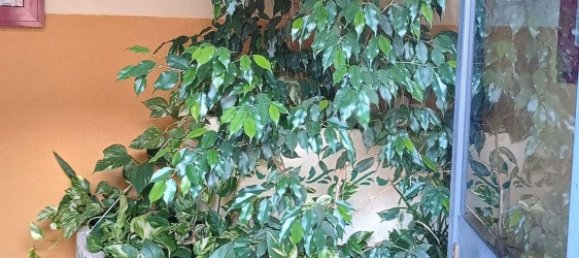 4 rooms Apartment in San Giorgio Ionico, Italy No. 89921 7