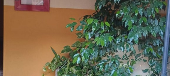 4 rooms Apartment in San Giorgio Ionico, Italy No. 89921 12