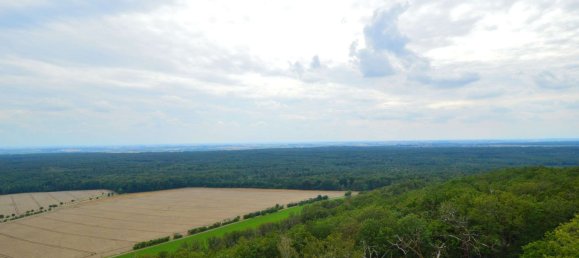 3 غرف نوم فيلا في Nordsachsen, Germany رقم 227751 14