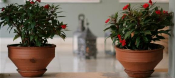 Adosado en Elis, Greece 3370 m² No. 7526 9