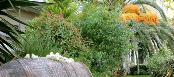 Adosado en Elis, Greece 3370 m² No. 7526 7