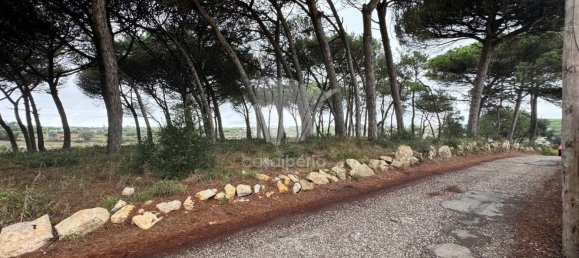 3 غرف نوم منزل في Sintra, Portugal رقم 149758 25