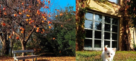 12-salle Villa à Pino Torinese, Italy No. 134336 8