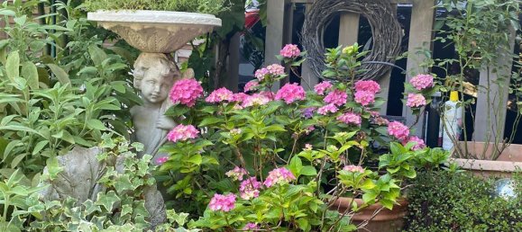 Таунхаус с 5 спальнями в Нойвид, Германия № 10151 8