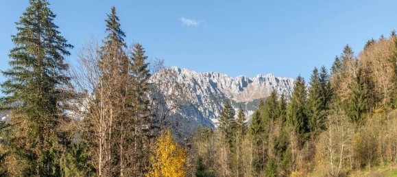 2 chambres Appartement à Scheffau am Wilden Kaiser, Austria No. 109735 6