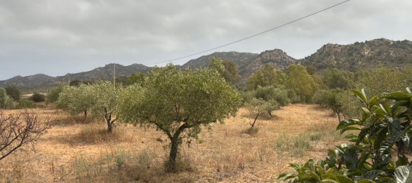 5 chambres Maison à Siniscola, Italy No. 331161 12