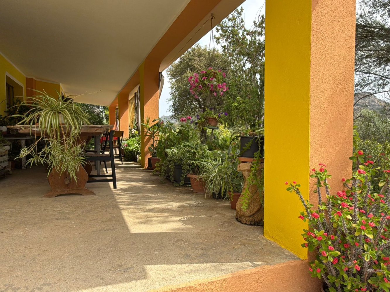 5 chambres Maison à Siniscola, Italy No. 331161