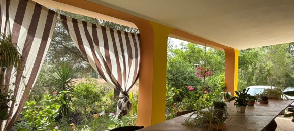 5 chambres Maison à Siniscola, Italy No. 331161 3