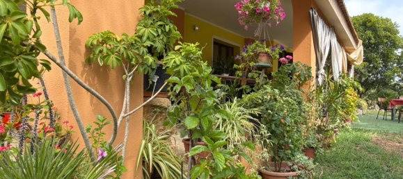 5 chambres Maison à Siniscola, Italy No. 331161 4