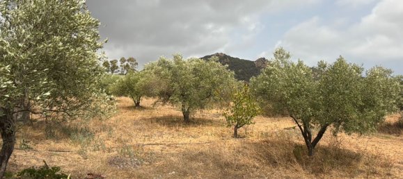 5 chambres Maison à Siniscola, Italy No. 331161 2