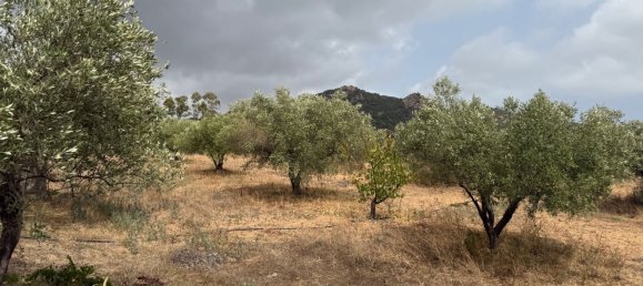 5 chambres Maison à Siniscola, Italy No. 331161 31