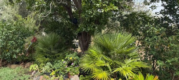 5 chambres Maison à Siniscola, Italy No. 331161 29