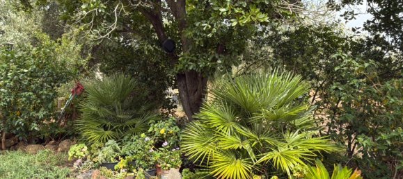 5 chambres Maison à Siniscola, Italy No. 331161 5