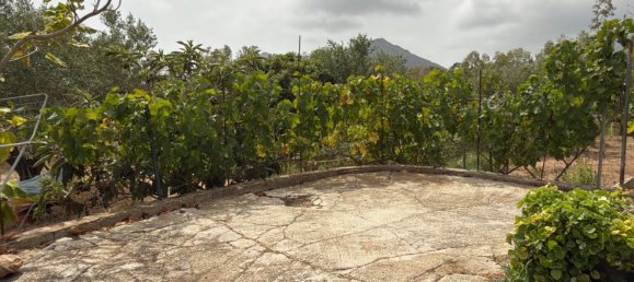 5 chambres Maison à Siniscola, Italy No. 331161 9